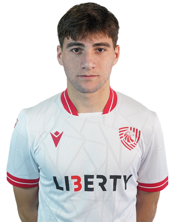 ანდრია ბართიშვილი